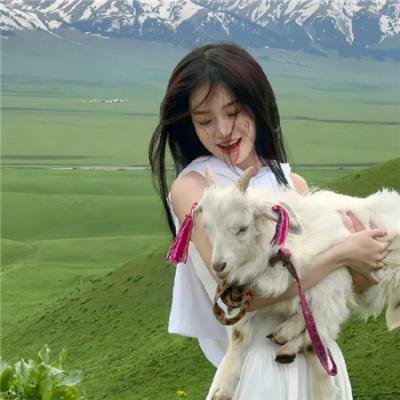 真相捕捉 第二季 海报
