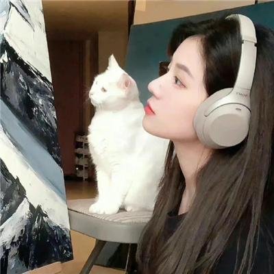 双影 海报