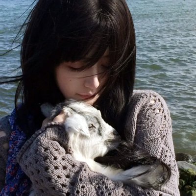 最后的木琴师 海报